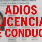 ¡Pisar el acelerador con unas copas de más se paga caro! Conoce cómo castiga la ley a los conductores imprudentes