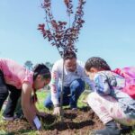 Buscan reforestar Guachochi con 150 mil árboles; iniciaron con 300