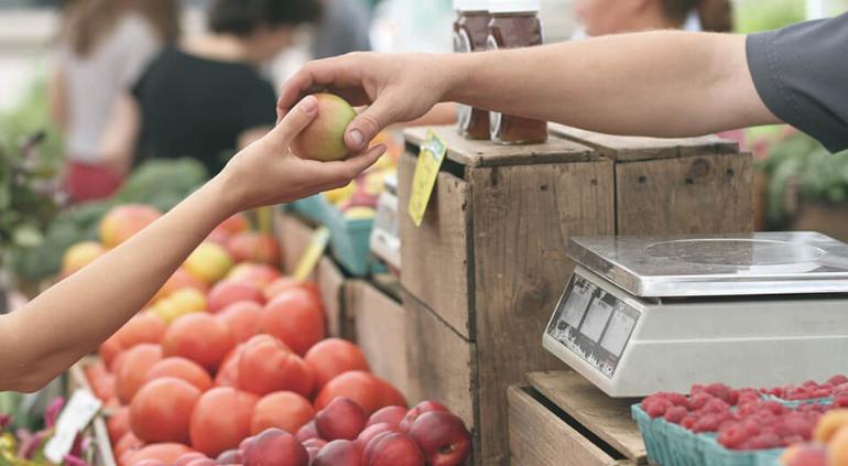 principal_inseguridad-alimentaria