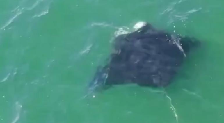 principal_descarga-22
