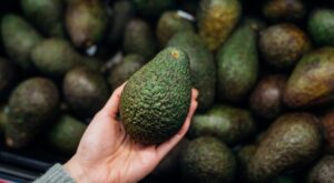 principal_aguacate