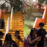 ¿Fue a clases? Oso entró a la Universidad Autónoma de Nuevo León